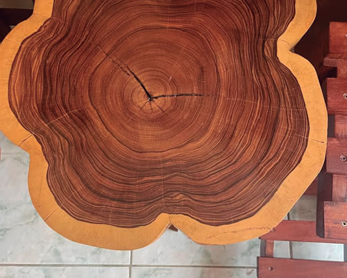 Lee más sobre el artículo Madera Paquio