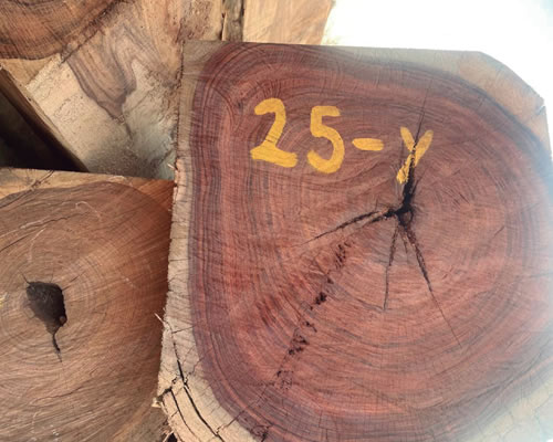 Lee más sobre el artículo Madera Tarara Colorada